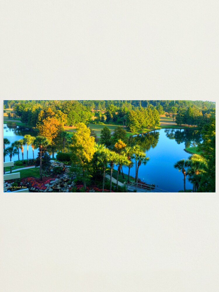 Alternate view of Slice of Paradise Photographic Print