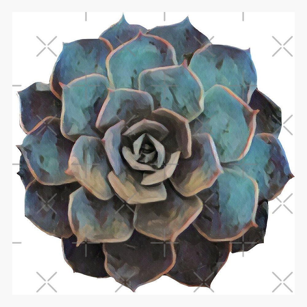 Succulent Top — Poster