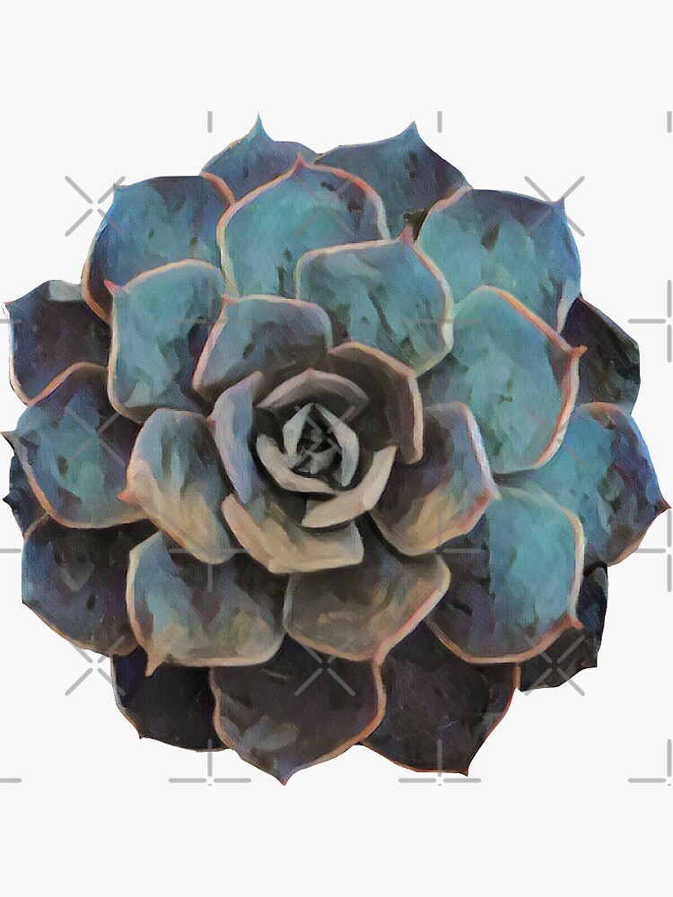 Succulent Top by planet-eye