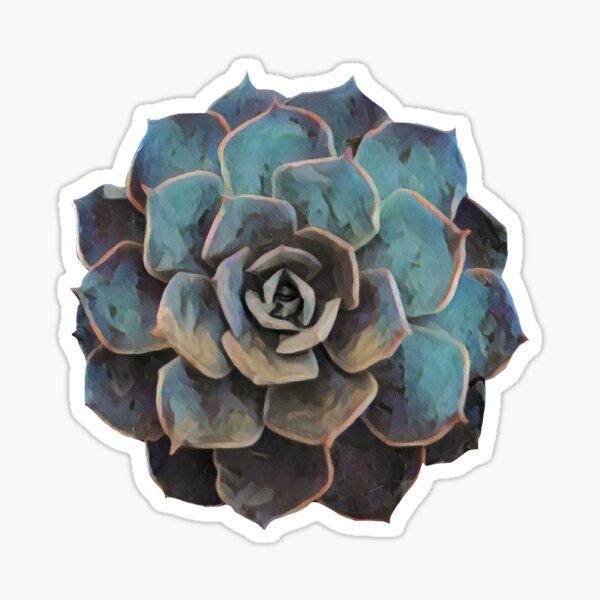 Succulent Top Sticker