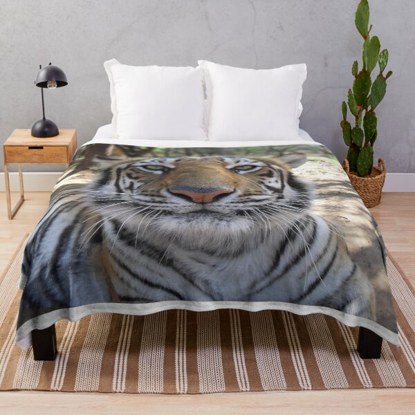 Item preview, Tiger Stare designed and sold by Steve Wilding.