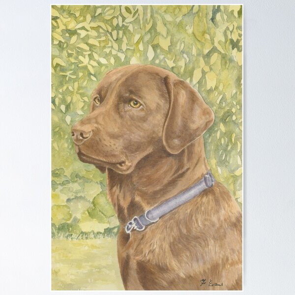 Item preview, Holly - The Chocolate Labrador designed and sold by FranEvans.