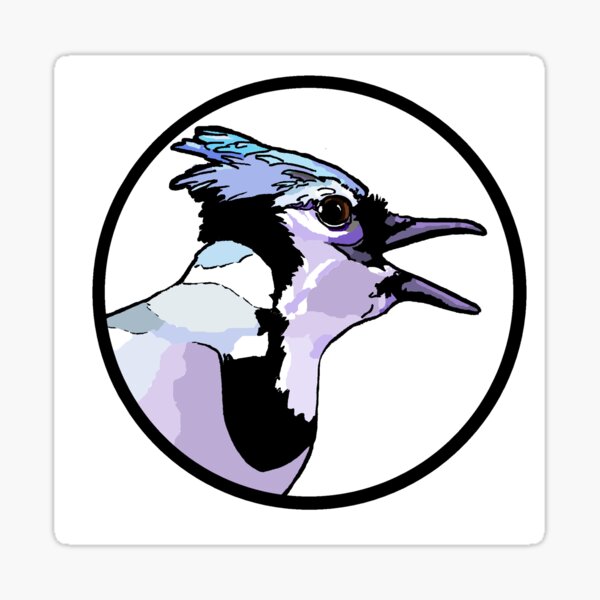 American Blue Jay Sticker