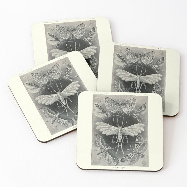Item preview, Plate 58. Tineida, an abandoned grouping of moths. designed and sold by Squirrox.