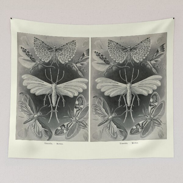 Item preview, Plate 58. Tineida, an abandoned grouping of moths. designed and sold by Squirrox.