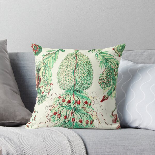 Item preview, Plate 59. Strobalia cupola. A colonial marine invertebrate that superficially resembles a jellyfish. designed and sold by Squirrox.