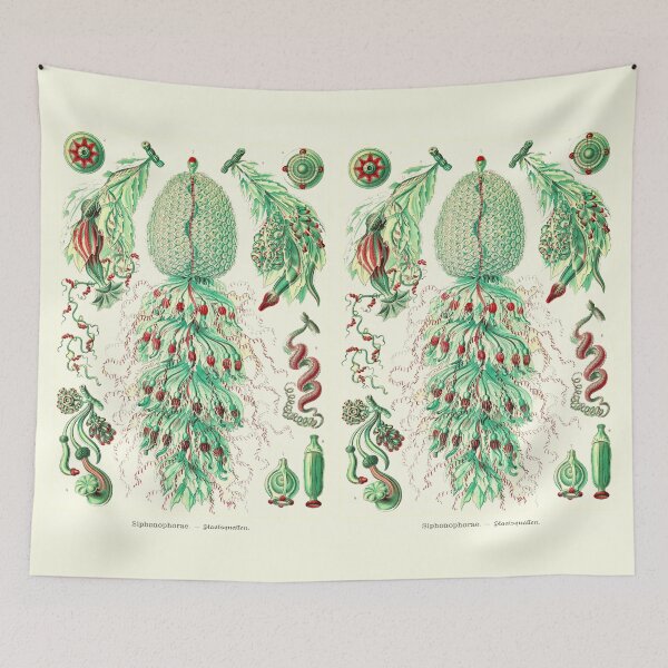 Item preview, Plate 59. Strobalia cupola. A colonial marine invertebrate that superficially resembles a jellyfish. designed and sold by Squirrox.