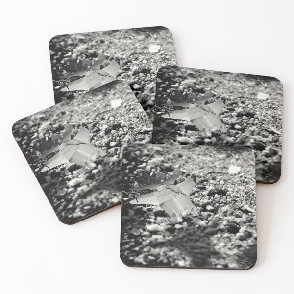 Item preview, ©AS Flying By IA Monochromatic. designed and sold by OmarHernandez.