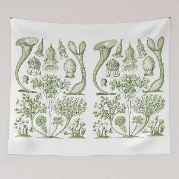 Item preview, Plate 03. Ciliata. Complex single-celled organisms. designed and sold by Squirrox.