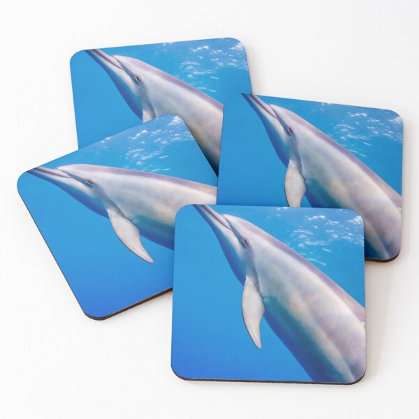 Item preview, Spinner Dolphin designed and sold by Kana Photography.