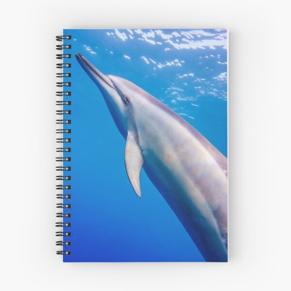 Item preview, Spinner Dolphin designed and sold by Kana Photography.