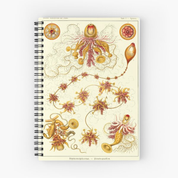 Item preview, Plate 07. Epibulia, a siphonophore designed and sold by Squirrox.