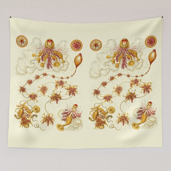 Item preview, Plate 07. Epibulia, a siphonophore designed and sold by Squirrox.
