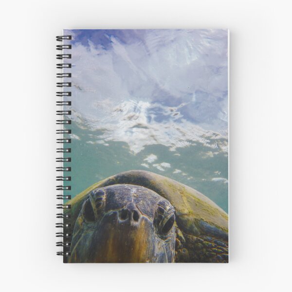 Item preview, Hawaiian Green Sea Turtle designed and sold by Kana Photography.