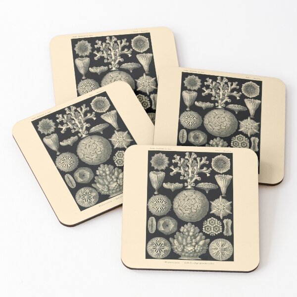 Item preview, Plate 09 Hexacoralla: a subclass of corals containing about 4,300 species.  designed and sold by Squirrox.