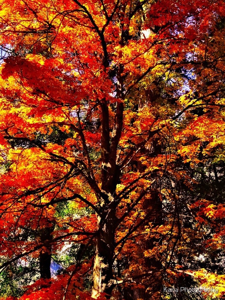 Thumbnail 4 of 4, iPhone Case, Fall designed and sold by DanielBustPhoto.