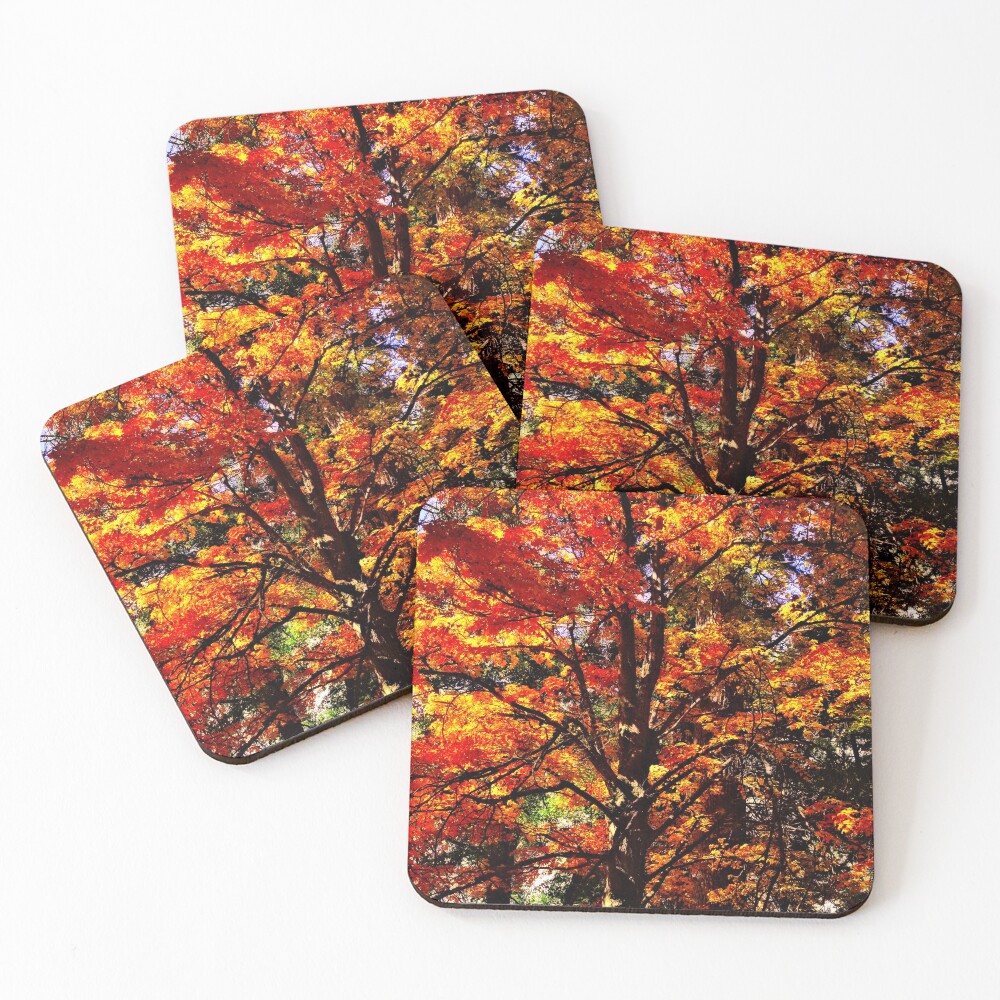 Item preview, Coasters (Set of 4) designed and sold by DanielBustPhoto.