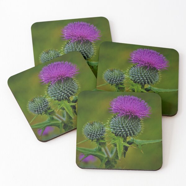 Item preview, Flower of Scotland designed and sold by jmnicolson.