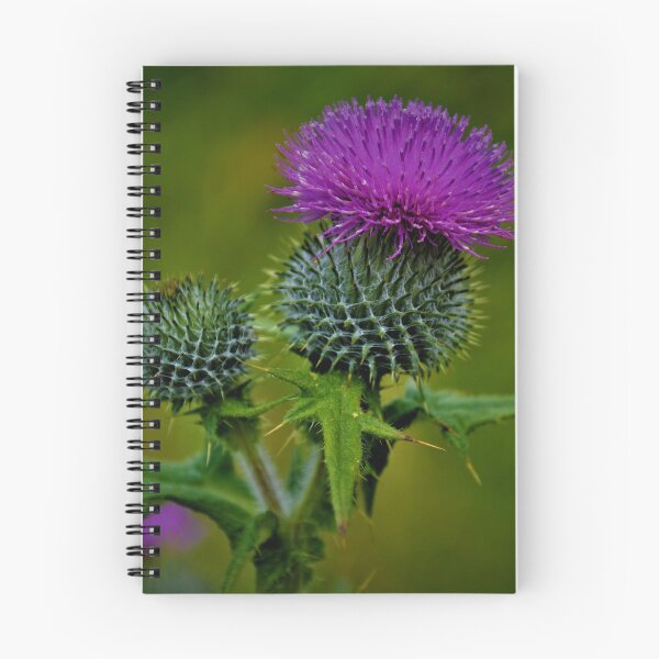 Item preview, Flower of Scotland designed and sold by jmnicolson.