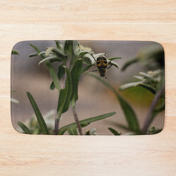 Item preview, Beetle ~ acrobat ~ designed and sold by laura-S.