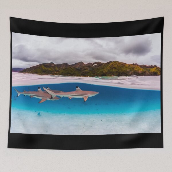 Item preview, Reef shark designed and sold by Kana Photography.