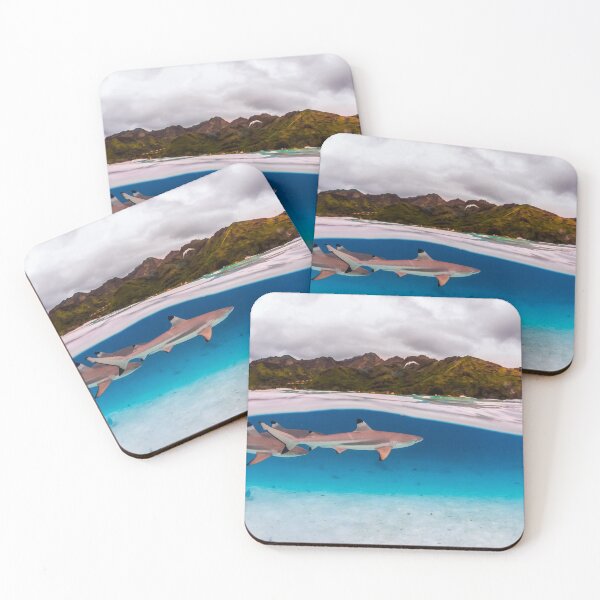 Item preview, Reef shark designed and sold by Kana Photography.