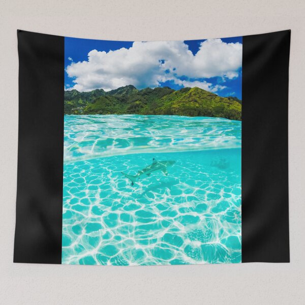 Item preview, Black tip reef shark designed and sold by Kana Photography.