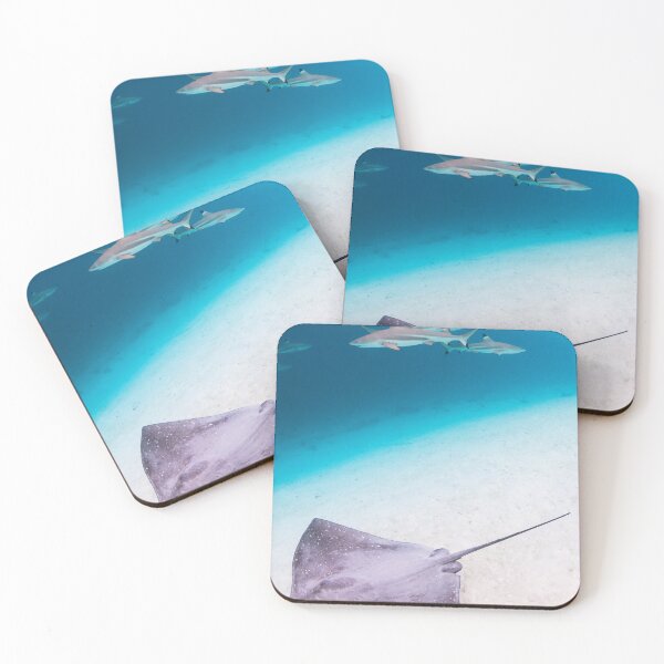Item preview, Stingray and Shark designed and sold by Kana Photography.
