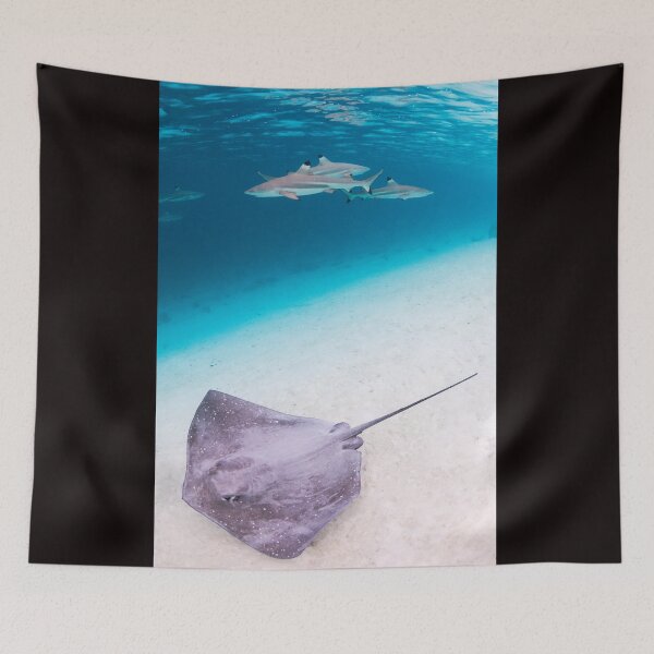 Item preview, Stingray and Shark designed and sold by Kana Photography.