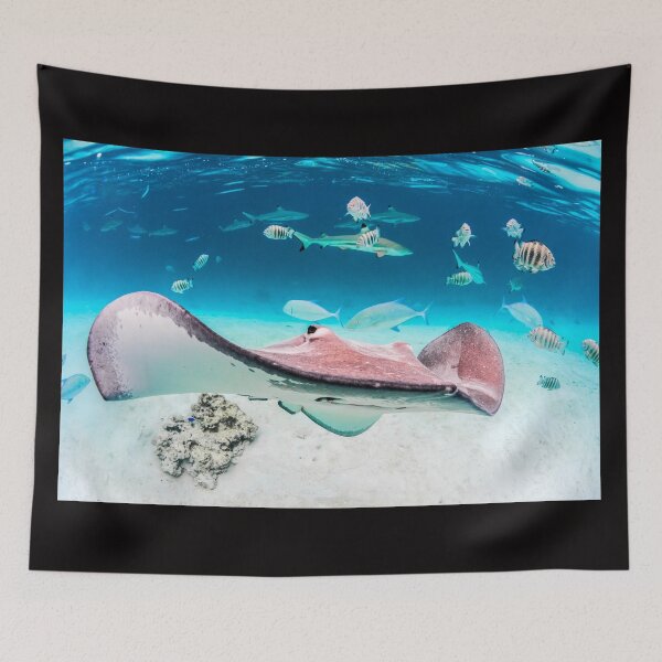 Item preview, Stingray designed and sold by Kana Photography.