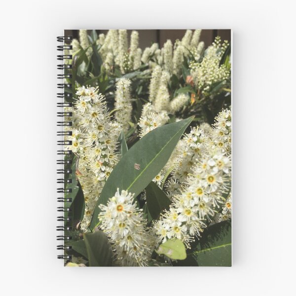 Item preview, Washington DC -- National Mall Spring designed and sold by zwrr16.
