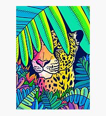 Jungle leopard Photographic Print