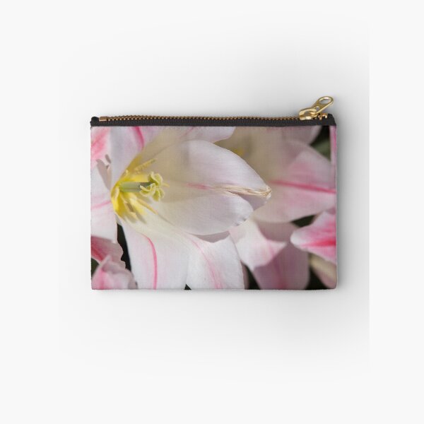 Aperçu de l'œuvre Lily With Border créée et vendue par GalleryThree.