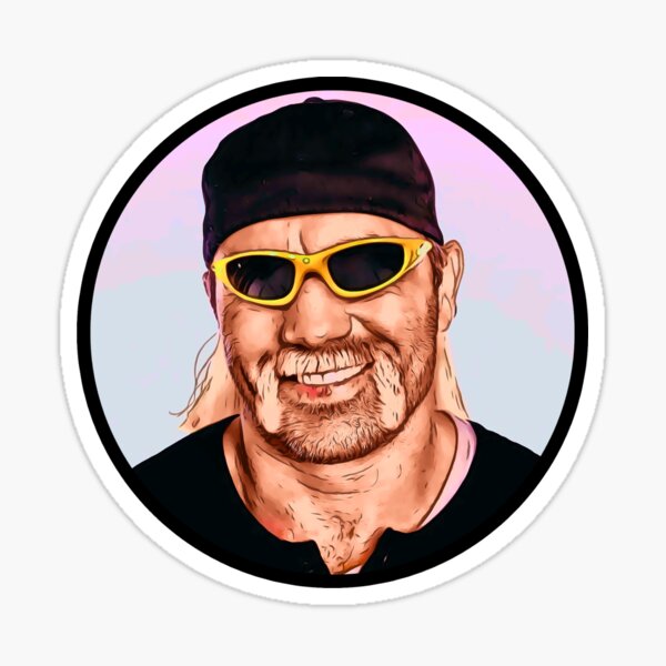 "Joe Hogan Rogan" Sticker for Sale by memedreamer Redbubble