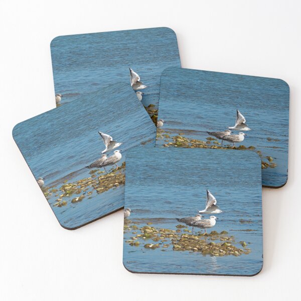 Item preview, Sea Gulls on Shingle 1 designed and sold by Josie Gilbert.
