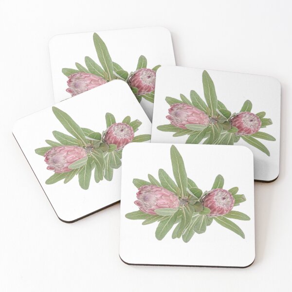 Item preview, Softness of Proteas... designed and sold by mitpjenkeating.