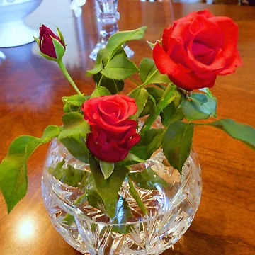 Artwork thumbnail, "Red Roses, Red Roses" by franticflagwave