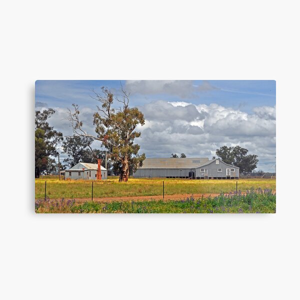 Tubbo Station Shearing Shed Metal Print