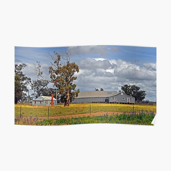 Tubbo Station Shearing Shed Poster