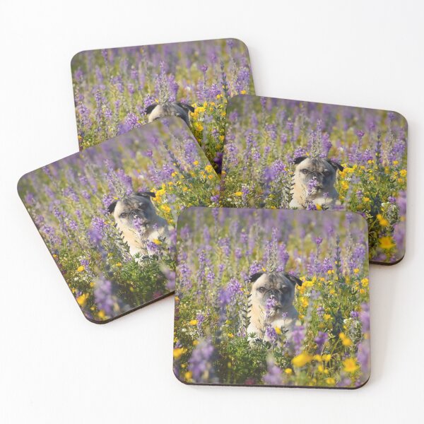 Item preview, Peek-A-Boo Pug Peers Through the Petals designed and sold by pugventurephoto.