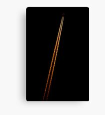 Firefly Canvas Print