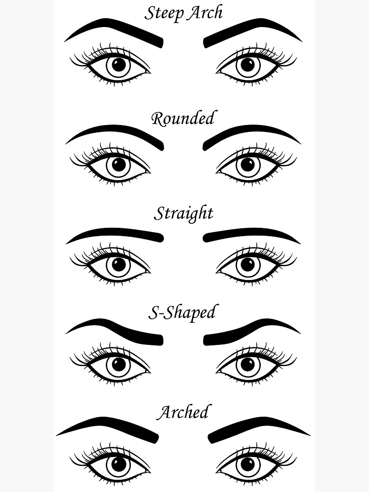 quot Eyebrows shapes art board print quot Art Print for Sale by tumbi Redbubble