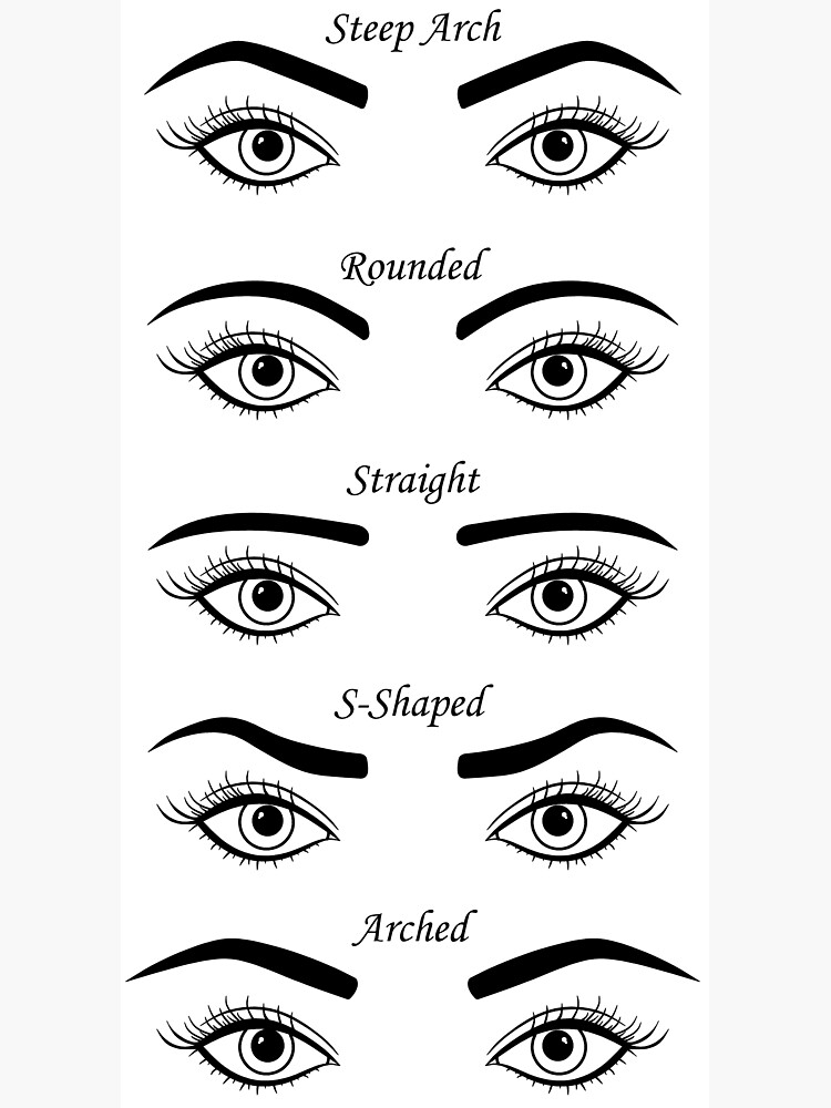  Eyebrows Shapes Art Board Print Art Print For Sale By Tumbi Redbubble