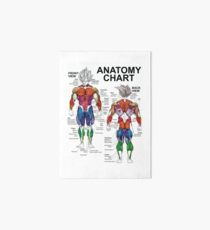 Anatomy Chart - Muscle Diagram - Anime Workout Inspirational Impression rigide
