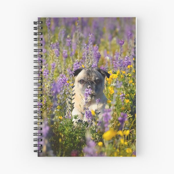 Item preview, Peek-A-Boo Pug Peers Through the Petals designed and sold by pugventurephoto.