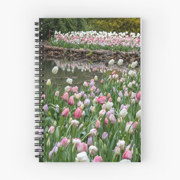 Item preview, Tulip time at Araluen Botanic Park designed and sold by DPalmer.