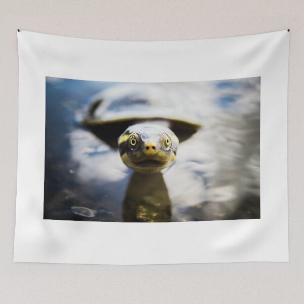 Item preview, Turtle designed and sold by william672.