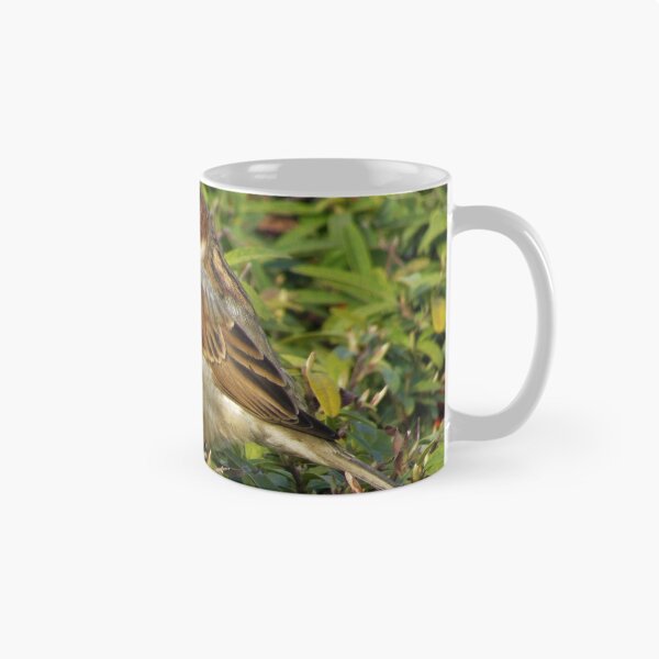 Item preview, House Sparrow Sideview designed and sold by tomeoftrovius.