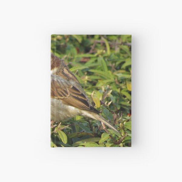 House Sparrow Sideview Hardcover Journal