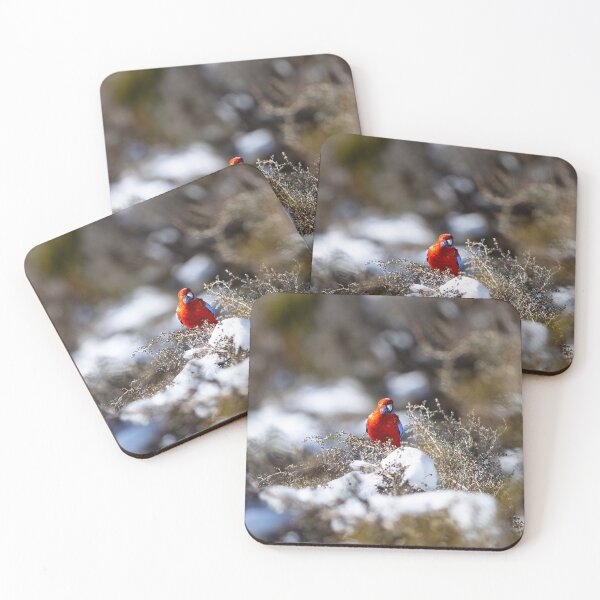 Item preview, Crimson Rosella in the Australian Snow Bush designed and sold by AtRTPhotos.